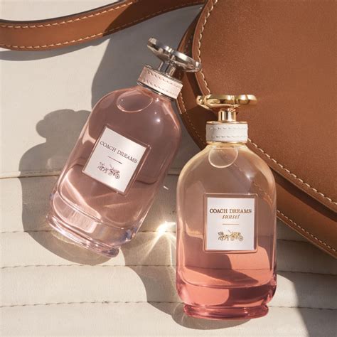 coach sunset perfume dupe|coach dreams sunset price.